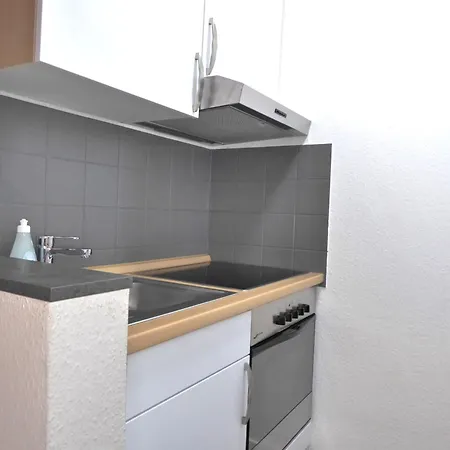 דירה Family Star 6 Pers Wifi Pool Near Lift ווינטרברג